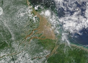 No descartes las COP sobre el clima, reformalas