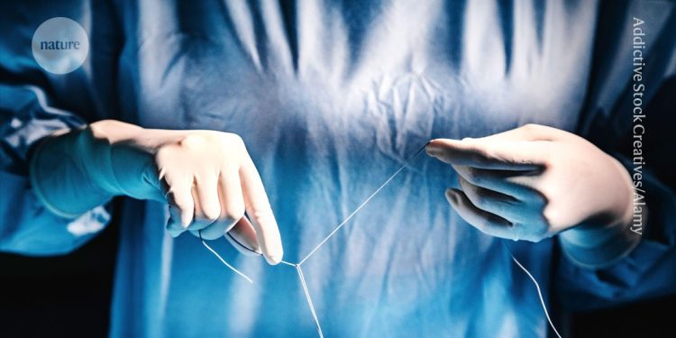 Estos nudos 'programables' aprovechan la física para hacer que los puntos quirúrgicos sean más seguros