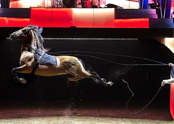 Avec leur nouveau spectacle, les Gruss s'affirment comme rois de la cavalerie équestre