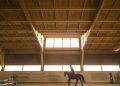 Diseño para caballos: 8 proyectos que dan forma al espacio para la vida equina
