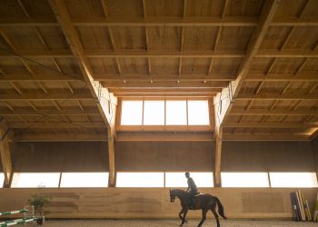 Diseño para caballos: 8 proyectos que dan forma al espacio para la vida equina