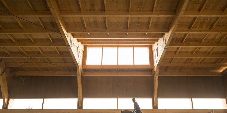 Diseño para caballos: 8 proyectos que dan forma al espacio para la vida equina