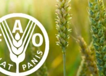 La FAO aporta nuevo impulso a la biodiversidad de Cuba › Mundo › Granma