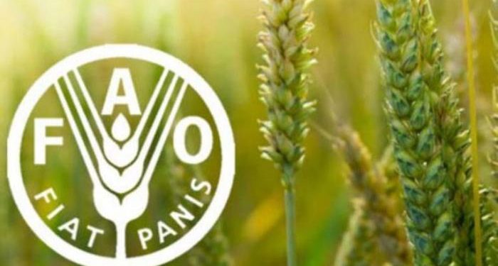La FAO aporta nuevo impulso a la biodiversidad de Cuba › Mundo › Granma