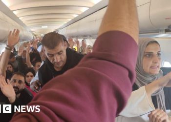 Sudáfrica investigará el «misterio» del avión cargado de palestinos, dice Cyril Ramaphosa