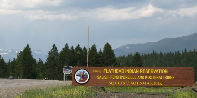 A pesar del regreso de SNAP, los indígenas estadounidenses todavía luchan contra la inseguridad alimentaria: vacunas