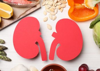 Sus riñones son órganos pequeños pero poderosos. Estos 13 superalimentos pueden darles un impulso