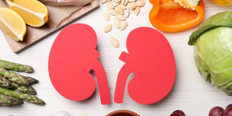 Sus riñones son órganos pequeños pero poderosos. Estos 13 superalimentos pueden darles un impulso