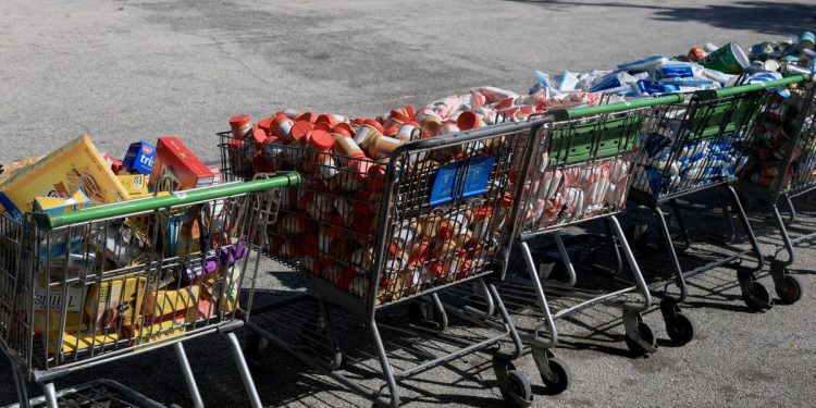 Los beneficios de SNAP vencen: los estereotipos de cupones de alimentos de la “reina del bienestar” se vuelven virales.