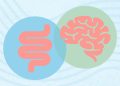 TDAH y salud intestinal: ¿cuál es la conexión?