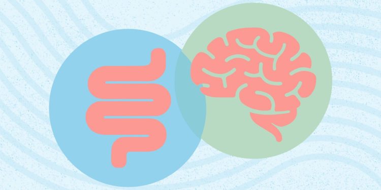 TDAH y salud intestinal: ¿cuál es la conexión?