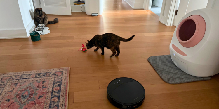 Las 8 mejores aspiradoras para dueños de mascotas en 2025