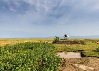 Khudi Bari: Arquitectura para el desplazamiento climático