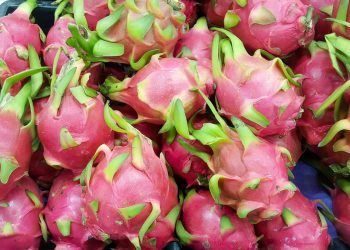 Perú abre su mercado para la pitahaya ecuatoriana y los bovinos vivos