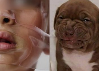 El turbio producto de belleza inf4nt1l que lanzó la actriz de Pretty Little Liars que nos dejó en shock.