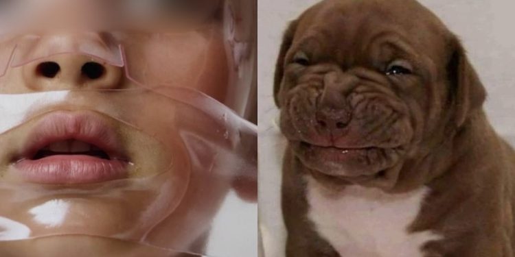 El turbio producto de belleza inf4nt1l que lanzó la actriz de Pretty Little Liars que nos dejó en shock.