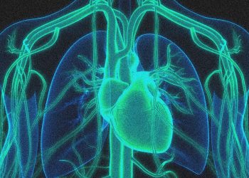 Una terapia de edición genética reduce los niveles de colesterol a la mitad