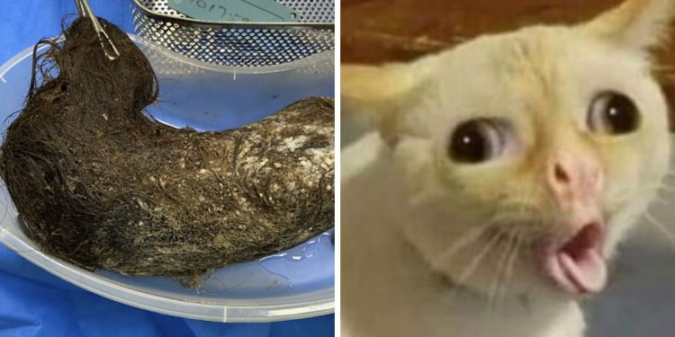 El síndrome de Rapunzel extremo que a cualquier persona le puede dar