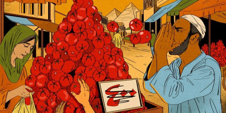 La sorprendente historia de los tomates en Egipto