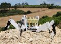 Un robot plantador de árboles salva de la deforestación tierras quemadas