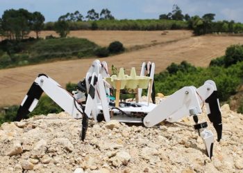Un robot plantador de árboles salva de la deforestación tierras quemadas