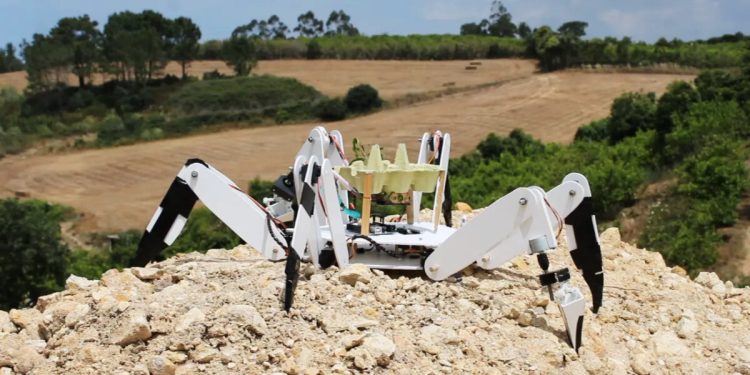 Un robot plantador de árboles salva de la deforestación tierras quemadas