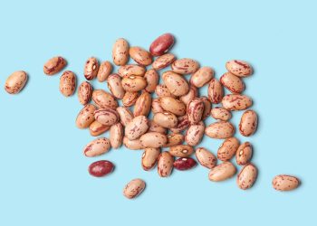 ¿Qué frijoles causan más gases?