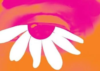 La nueva novela cargada de erotismo de Lily King: NPR