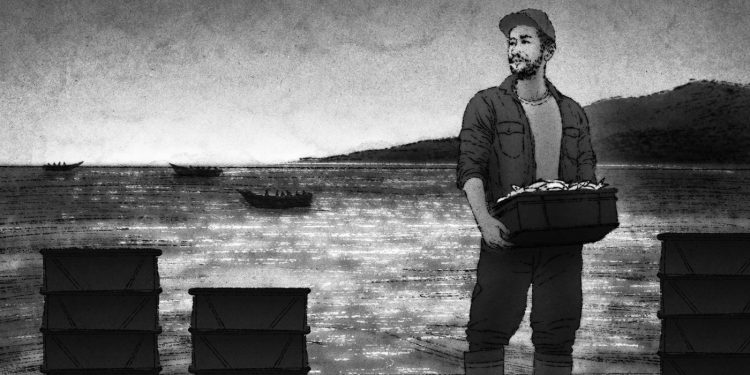 Trump dice que las tripulaciones de los barcos son narcoterroristas. La verdad tiene más matices, según AP: NPR