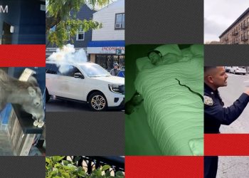 ¿Puedes distinguir vídeos de IA de otros reales? Responda nuestro cuestionario: NPR