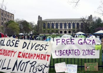 Northwestern acuerda un acuerdo de 75 millones de dólares con la administración Trump: NPR