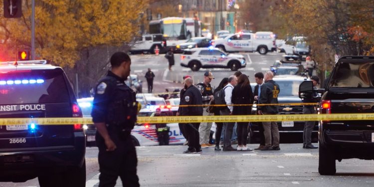 Una historia de la 'Operación Bienvenidos Aliados', que permitió la entrada de afganos a Estados Unidos: NPR