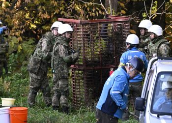 Japón despliega al ejército para contrarrestar un aumento en los ataques de osos: NPR