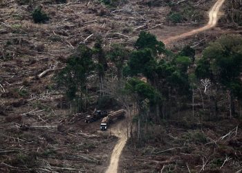 Una cumbre climática del Amazonas basada en contradicciones, generando malestar entre los delegados de California