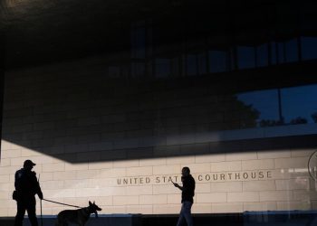 Los abogados designados por el tribunal y sus clientes enfrentan las consecuencias del cierre del gobierno y la crisis de financiación