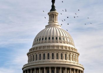 Las conversaciones para poner fin al cierre del gobierno se intensifican a medida que el cierre federal va camino de ser el más largo jamás visto