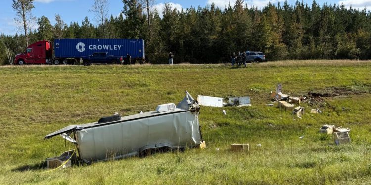 Mujer de Mississippi mata a un mono que se escapó temiendo por la seguridad de sus hijos