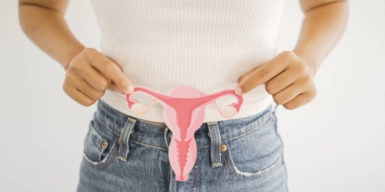 Períodos normales versus períodos irregulares