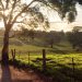 En el valle de Clare de Australia, un nuevo sendero de 6 días conecta viñedos históricos, cabañas de lujo y campos de lavanda silvestre