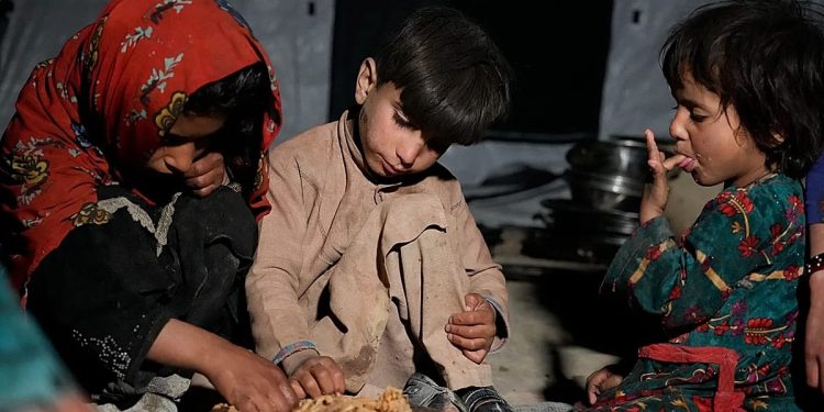 Millones de personas se enfrentan a una grave inseguridad alimentaria en Afganistán a medida que se acerca el invierno, advierte la ONU
