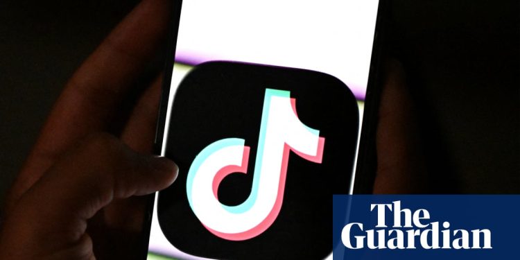 'Un cambio de juego': 200.000 pequeñas empresas del Reino Unido se registran en TikTok Shop | tiktok