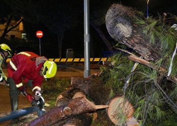 El temporal deja más de 300 incidencias en Andalucía, principalmente en la provincia de Málaga