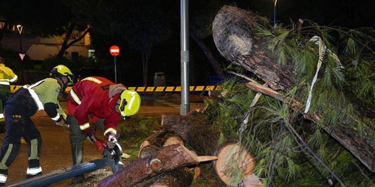 El temporal deja más de 300 incidencias en Andalucía, principalmente en la provincia de Málaga