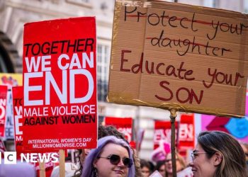 Los parlamentarios expresan su preocupación por el retraso de la estrategia contra la violencia contra las mujeres