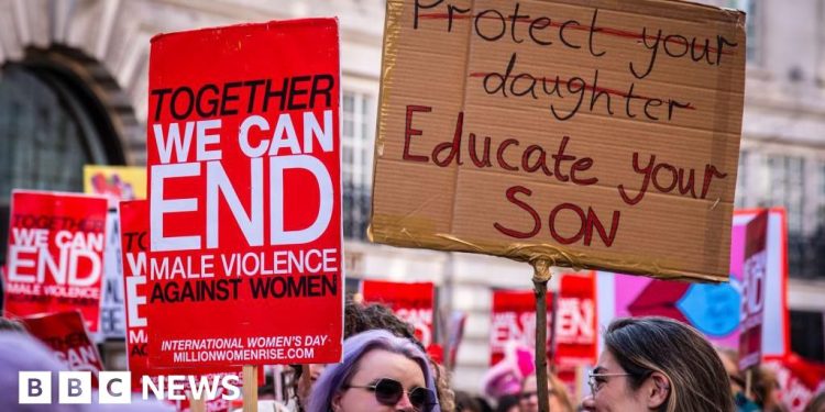 Los parlamentarios expresan su preocupación por el retraso de la estrategia contra la violencia contra las mujeres