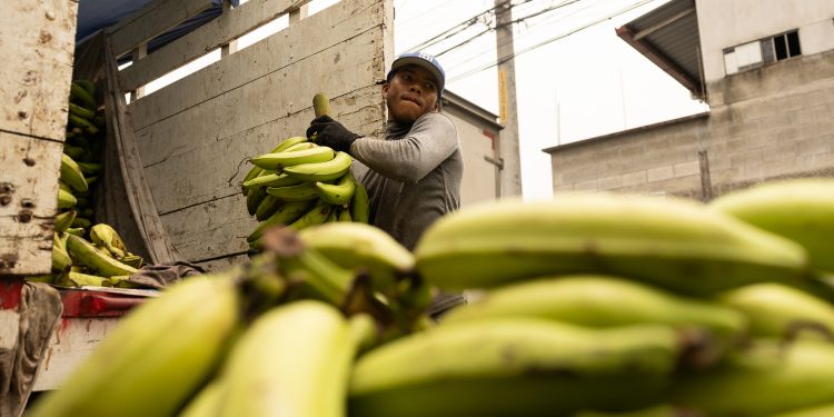 ¿Le corresponde aguinaldo si no firma contrato? Esto aclara el Ministerio de Trabajo