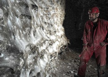 Esta es la telaraña más grande del mundo: las mejores imágenes científicas de noviembre