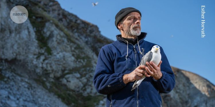 Rastreando la contaminación en la vida de las aves marinas del Ártico