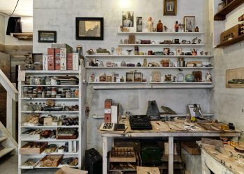 Wes Anderson da vida al estudio de Joseph Cornell