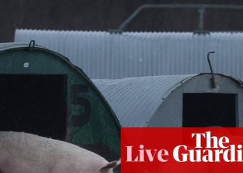 Los ministros defienden 'la estrategia de bienestar animal más ambiciosa de la última generación' antes de su publicación – Política del Reino Unido en vivo | Política